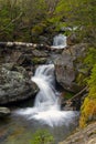 River Sream Mount Washinton area via Ammonoosuc ravine trail Royalty Free Stock Photo