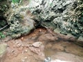 A river that starts to dry up because of the dry season