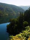 River with steep foresty banks