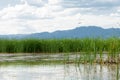 River in steppe. prairie