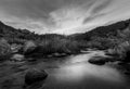 River stone and tree colorful, Black and white and monochrome style Royalty Free Stock Photo