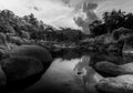 River stone and tree with sky and cloud colorful, Stone river and tree leaf in forest, Black and white and monochrome style Royalty Free Stock Photo