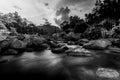 River stone and tree with sky and cloud colorful, Stone river and tree leaf in forest, Black and white and monochrome style Royalty Free Stock Photo