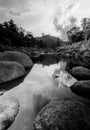 River stone and tree with sky and cloud colorful, Stone river and tree leaf in forest, Black and white and monochrome style Royalty Free Stock Photo