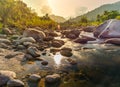 River stone and tree with sun beam, Stone river and sun ray in forest