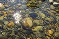 River Stones with a Patch of Sunlight