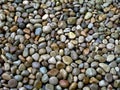 River Stones / Pebbles