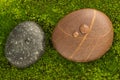 The River Stones spa treatment scene with raindrop on moss background zen like concepts. Royalty Free Stock Photo