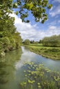 The River Stour, Warwickshire Royalty Free Stock Photo