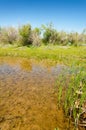 river, stream, flood, effluent, ford, nulla