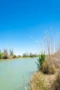 river, stream, flood, effluent, ford, nulla