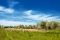 river, stream, flood, effluent, ford, nulla