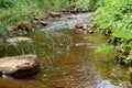 River stream in a forest. Beautiful summer landscape. Royalty Free Stock Photo