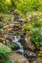 River stream in the forest Royalty Free Stock Photo