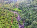 River stream going through deep dense jungle in koraput district of odisha