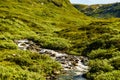 River stream in mountains, Norway Royalty Free Stock Photo