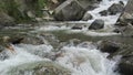 River stream Royalty Free Stock Photo