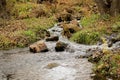 River stream in nature