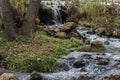 River stream in nature