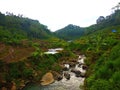 river stream near rice crop at hillside