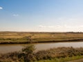 river stream scene sheep and lamb across the way in nature reserve tollesbury maldon Royalty Free Stock Photo