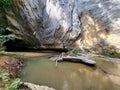 River stream under cave in Gua Ikan, Dabong, Kelantan, Malaysia. Royalty Free Stock Photo