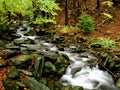 A river stream of water jumps over rocks. Royalty Free Stock Photo