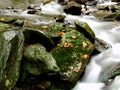 A river stream of water jumps over rocks. Royalty Free Stock Photo