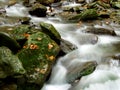 A river stream of water jumps over rocks. Royalty Free Stock Photo