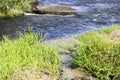 River stream, waterfall in a forest landscape, beautiful nature, water stream, flowing water and stone, clear water in a Royalty Free Stock Photo