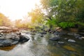 River stream waterfall in forest landscape, beautiful nature water stream with rocks in the tropical forest little mountain Royalty Free Stock Photo