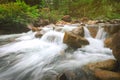 River stream waterfall and tropical forest green trees Royalty Free Stock Photo