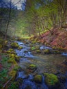 River Studena, Tesli?, Bosnia and Herzegovina. River and forest. Background.