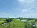 A river in the Japanese countryside in summer.