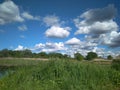 River in summer, dense thickets of grass, blue sky and clouds