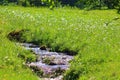 River with sun reflect at vosges