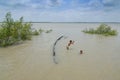 River of Sundarban