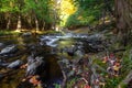 River And Sunlight Shine Through Michigan Forest Royalty Free Stock Photo