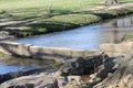 River and sunny day at the park