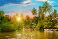 River, sunrise and tropical palms