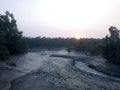 River, sunset, mangrove, forest, jungle, red sun