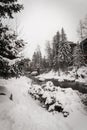 A river surrounded by snow in Vail, Colorado during winter.