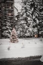 A river surrounded by snow in Vail, Colorado during winter. Royalty Free Stock Photo