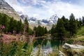 River surrounded by trees and rocky mountains, Breuil-Cervinia, Aosta Valley, Italy Royalty Free Stock Photo