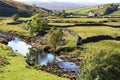 River Swale, Swaledale, North Yorkshire Royalty Free Stock Photo