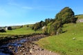 River Swale, Swaledale, North Yorkshire Royalty Free Stock Photo