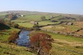 River Swale, upper Swaledale, Yorkshire Dales, UK Royalty Free Stock Photo