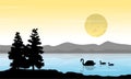 On river swan scenery at sunrise Royalty Free Stock Photo