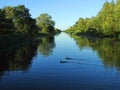 River Sysa, Lithuania Royalty Free Stock Photo