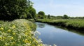 The River Tame In Springtime, Sandwell Valley